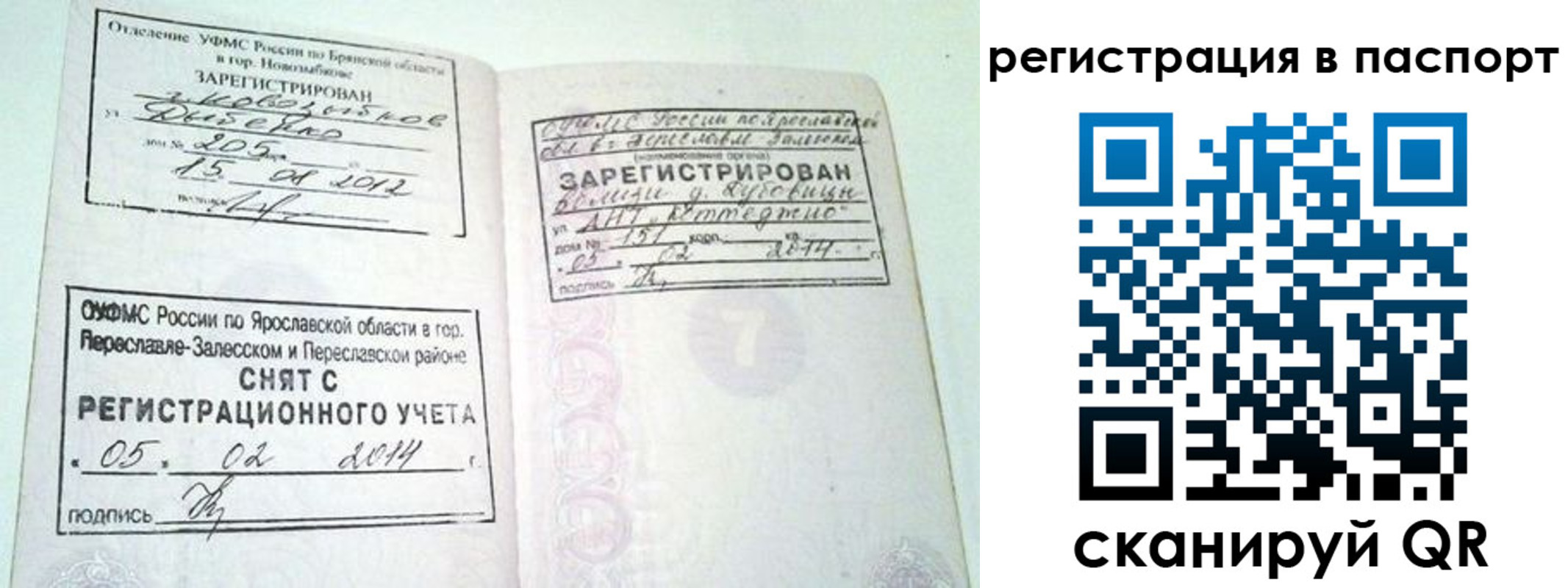 прописка в квартире в Сальске