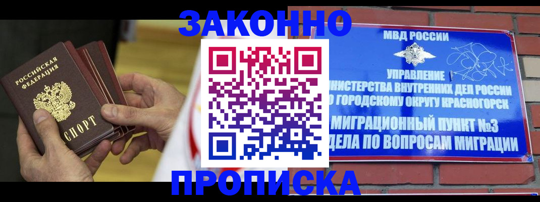 прописка для школы в Сальске